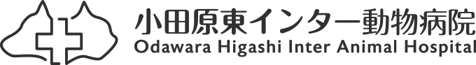 小田原東インター動物病院